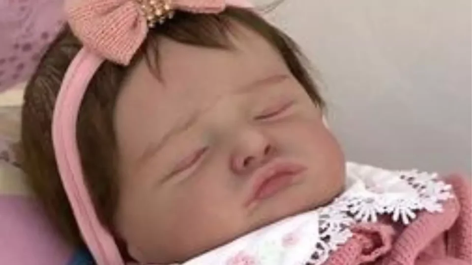 Mulher tenta vacinar boneca bebê reborn em UBS de SC