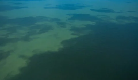 Ibama aprova plano da Petrobras que permite exploração de petróleo na Foz do Amazonas