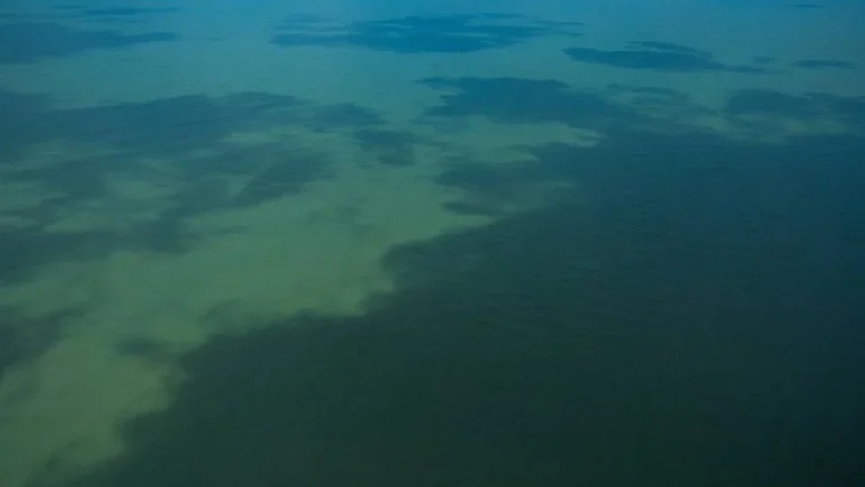 Ibama aprova plano da Petrobras que permite exploração de petróleo na Foz do Amazonas