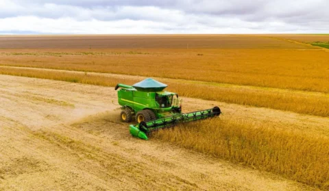 Comércio entre Brasil e China bate recorde e chega a US$ 171 bilhões