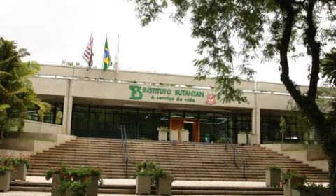 Butantan aguarda há 9 meses aval da Anvisa para estudo de vacina contra a gripe aviária em humanos