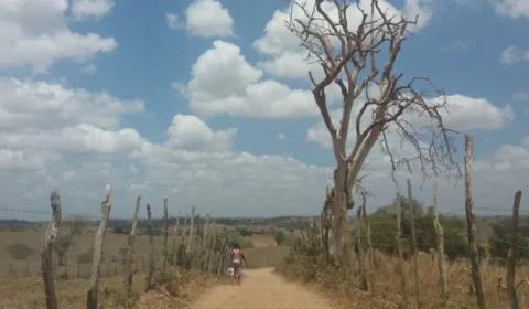 Comitiva visita Agreste pernambucano para conhecer tecnologias de adaptação climática