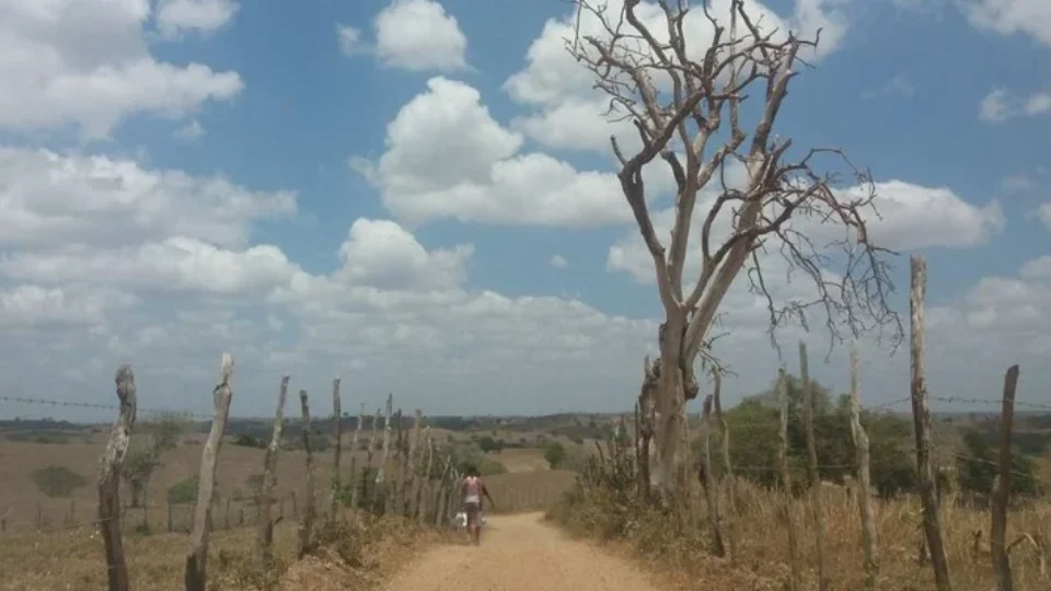 Comitiva visita Agreste pernambucano para conhecer tecnologias de adaptação climática