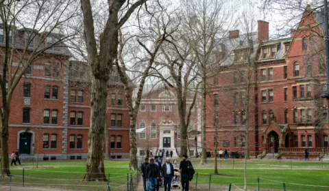 Por medo de não conseguirem voltar aos EUA, alunos de Harvard recusam estágio no Brasil