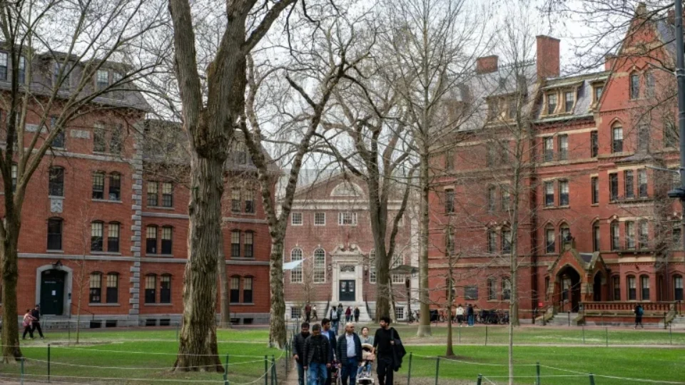 Por medo de não conseguirem voltar aos EUA, alunos de Harvard recusam estágio no Brasil