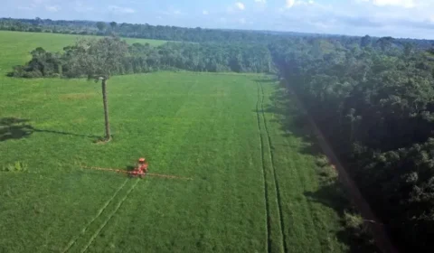 Itália sinaliza apoio ao acordo UE-Mercosul, mas condiciona aval a demandas de agricultores