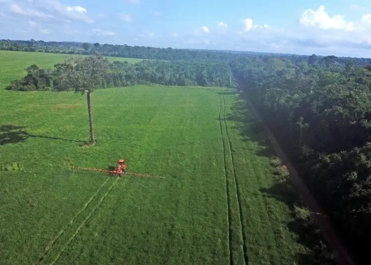 agrotoxico