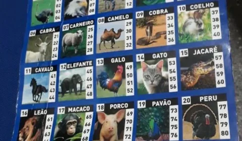 Senado pode votar projeto que libera bingos, cassinos e jogo do bicho