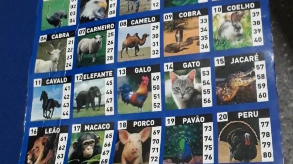 Senado pode votar projeto que libera bingos, cassinos e jogo do bicho