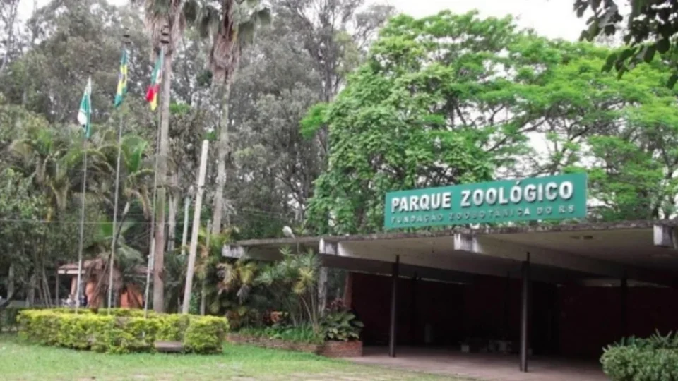 Gansos e patos morrem por gripe aviária em zoológico no RS