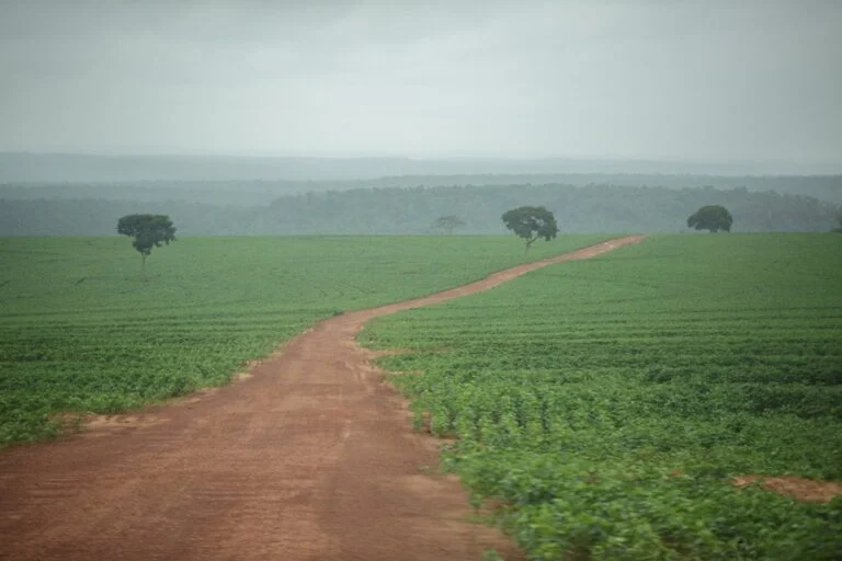 terra