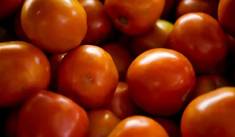 Tomate pode ajudar a proteger o coração, a pele e a visão, revelam cientistas
