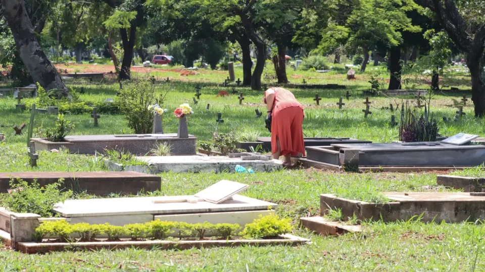 Taxa de homicídio cai, mas violência matou 45,7 mil no Brasil em 2023