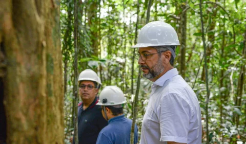 Justiça manda anular contratos de madeira apoiada por Alcolumbre e Randolfe