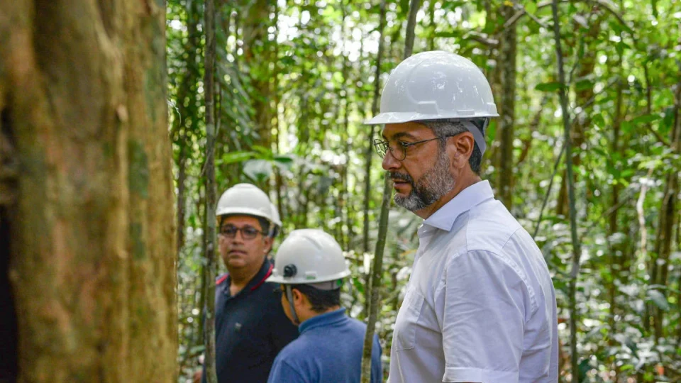 Justiça manda anular contratos de madeira apoiada por Alcolumbre e Randolfe
