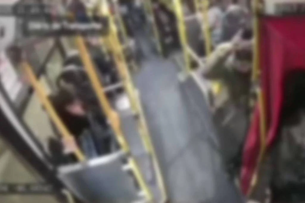 ônibus