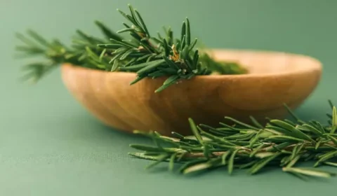 Conheça a planta que ajuda a regenerar as células pancreáticas e melhora o sistema digestivo
