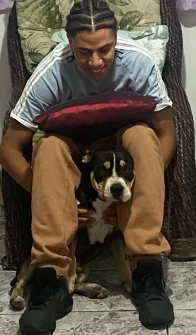 cachorro