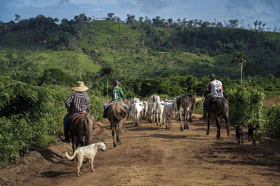 Pará