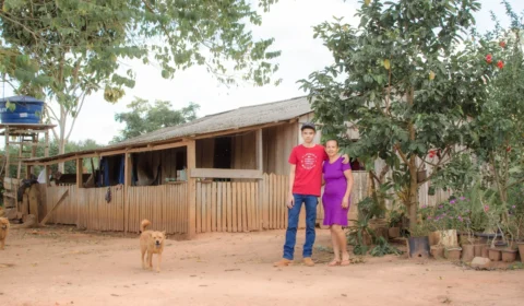 Famílias sem terra transformam cinzas em colheita e vencem luta de 20 anos no MT