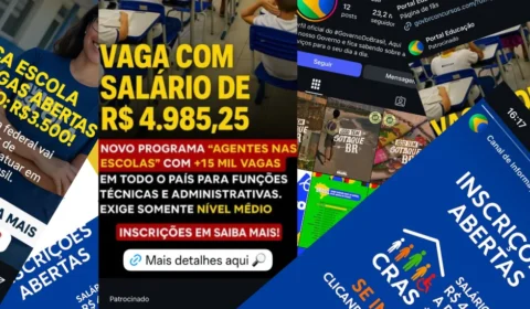 Aumento do uso de marcas federais em golpes preocupa governo e plataformas lucram com crimes