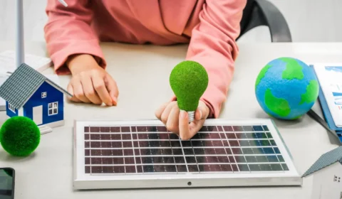 Transição energética: contexto, histórico e oportunidades no Brasil
