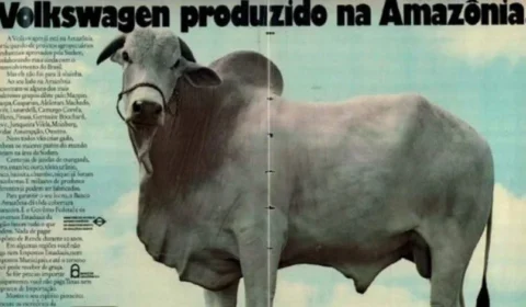 Na sala da audiência