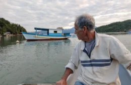 Paraíso à venda: leilão de terras em Paraty (RJ) expõe comunidades centenárias ao risco de despejo