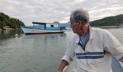 Paraíso à venda: leilão de terras em Paraty (RJ) expõe comunidades centenárias ao risco de despejo