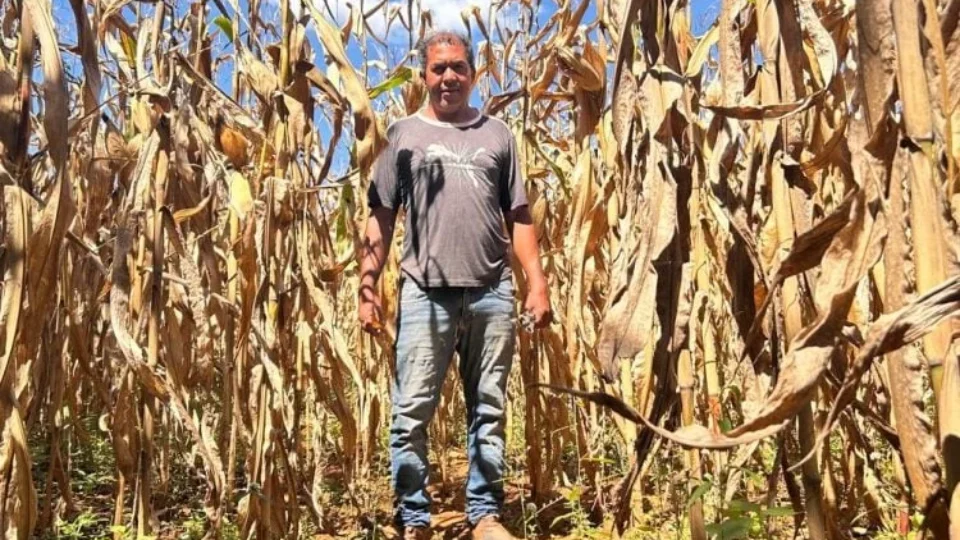 Comunidade centenária de Goiás pode perder terra para família Caiado