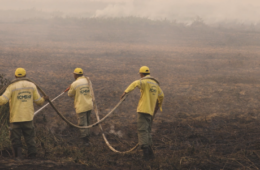 ‘Dia e noite aguardando fogo’: brigadistas enfrentam incêndios em Corumbá (MS)