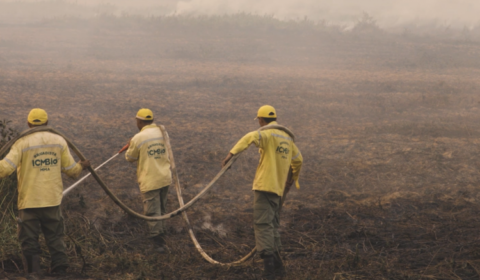 ‘Dia e noite aguardando fogo’: brigadistas enfrentam incêndios em Corumbá (MS)