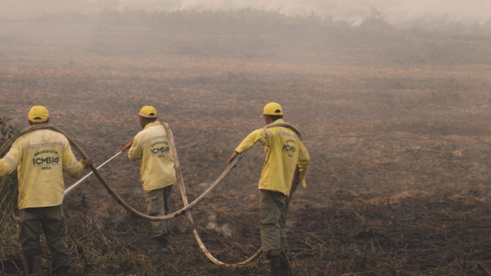 ‘Dia e noite aguardando fogo’: brigadistas enfrentam incêndios em Corumbá (MS)