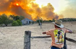 Organizações enviam carta aos bancos sobre riscos de incêndio durante El Niño