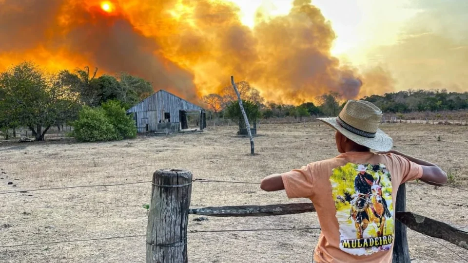 Organizações enviam carta aos bancos sobre riscos de incêndio durante El Niño