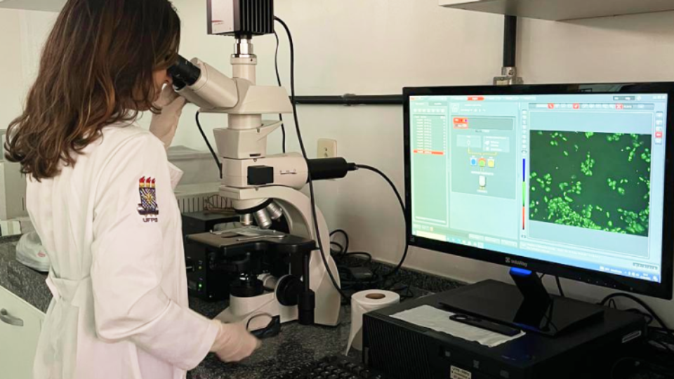 Exposição a agrotóxicos pode causar danos ao DNA, aponta estudo