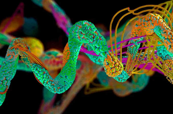 biotecnologia e inteligência artificial A startup Basecamp Research uniu biotecnologia e inteligência artificial para revolucionar o desenvolvimento de proteínas personalizadas. Foto: Forbes