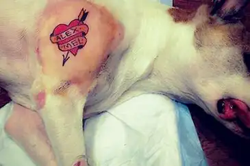 tatuage