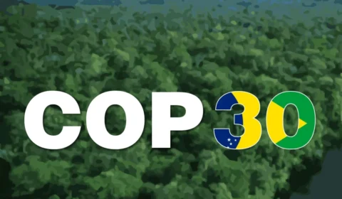 Balanço ético-global para a COP30
