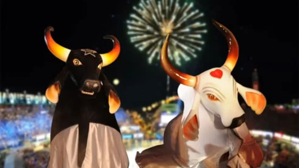 Festival de Parintins: a cultura que o Brasil esquece de ensinar