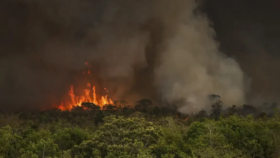 Câmara aprova aumento de punição a quem provocar incêndios florestais