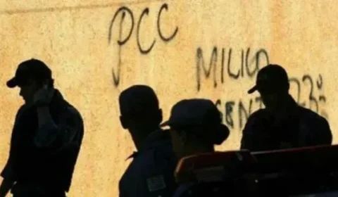 Os salvadores da pátria