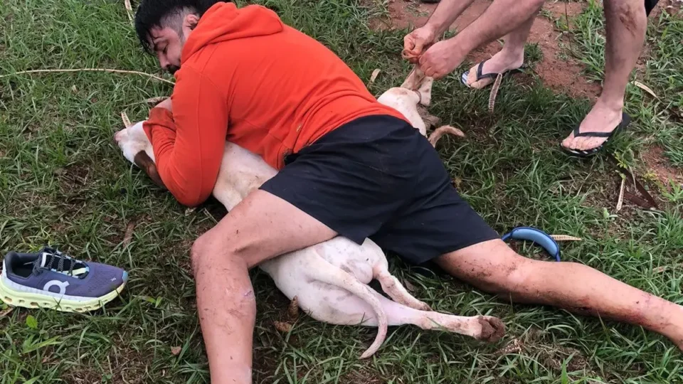 Lutador usa técnicas de Muay Thai para conter ataque de pitbulls no MS