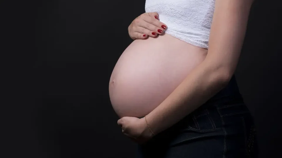 Brasileiras estão tendo menos filhos e adiam maternidade, diz Censo