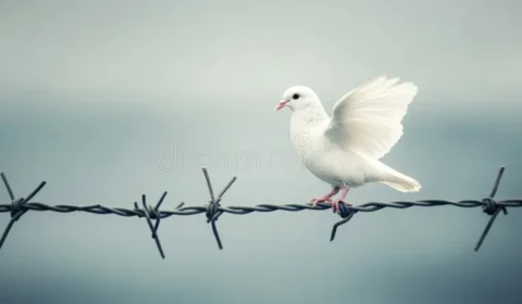 O fim da ordem mundial
