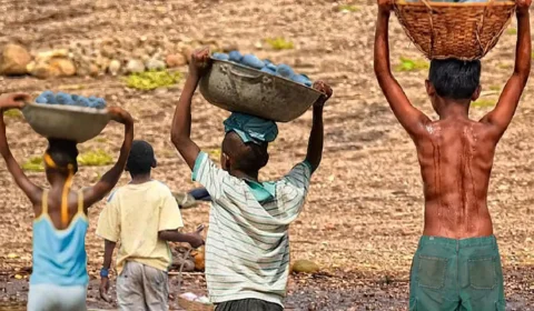 Mais de 6 mil crianças são resgatadas do trabalho infantil em 2 anos