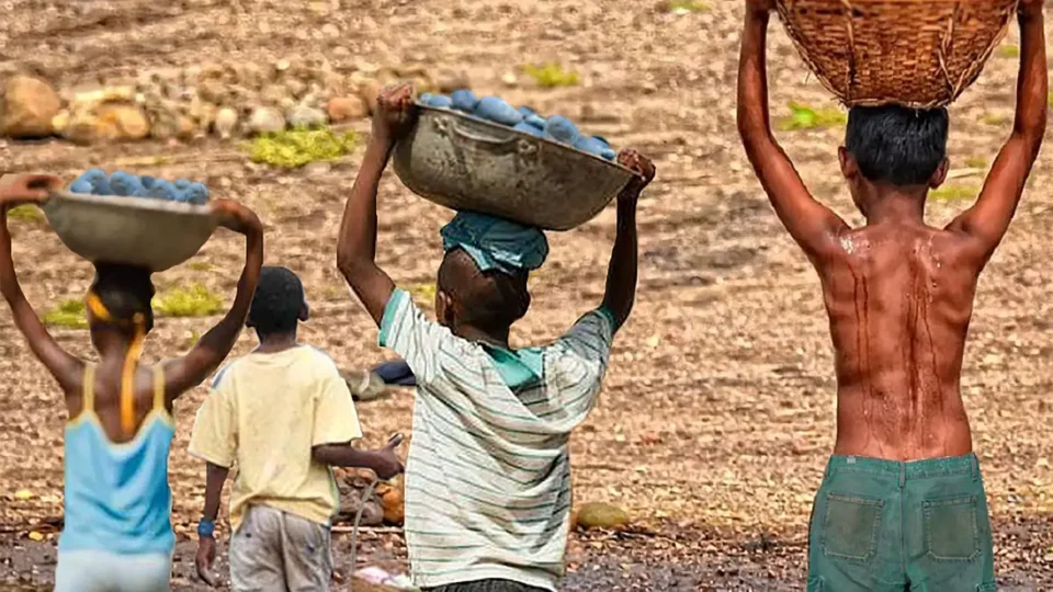 Mais de 6 mil crianças são resgatadas do trabalho infantil em 2 anos