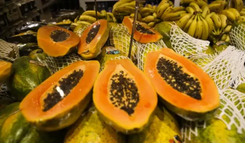 Mamão: veja 5 benefícios da fruta e os cuidados essenciais no consumo
