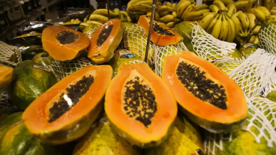 Mamão: veja 5 benefícios da fruta e os cuidados essenciais no consumo