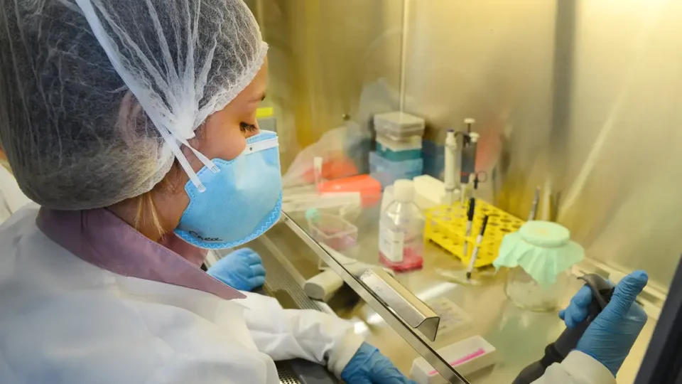 Vacina desenvolvida na USP protege contra infecção por Zika e previne danos cerebrais
